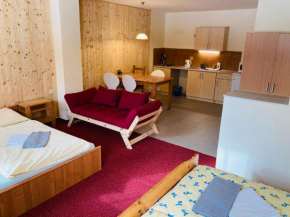 Studia Pod Lysou, Rokytnice Nad Jizerou